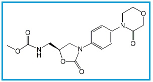 Rivaroxaban Impurity 24